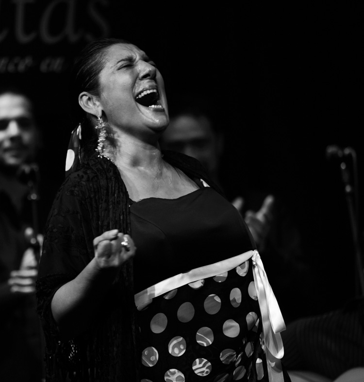 CONTINÃšA 'LA ARISTOCRACIA DEL FLAMENCO' CON REMEDIOS AMAYA y familia