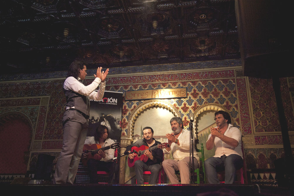 II ENCUENTRO NACIONAL DEL PROGRAMA 'FLAMENCO Y SOCIEDAD'